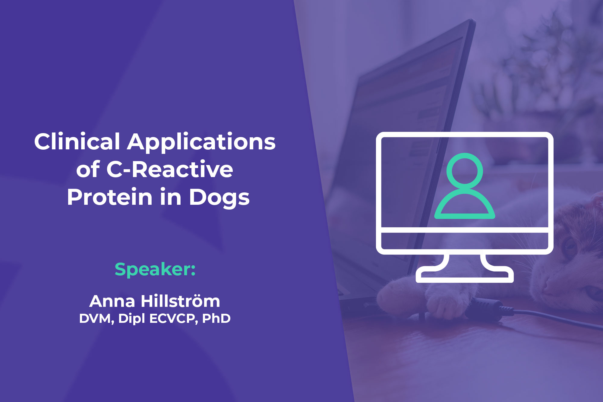 Clinical Applications of C-Reactive Protein in Dogs Webinar