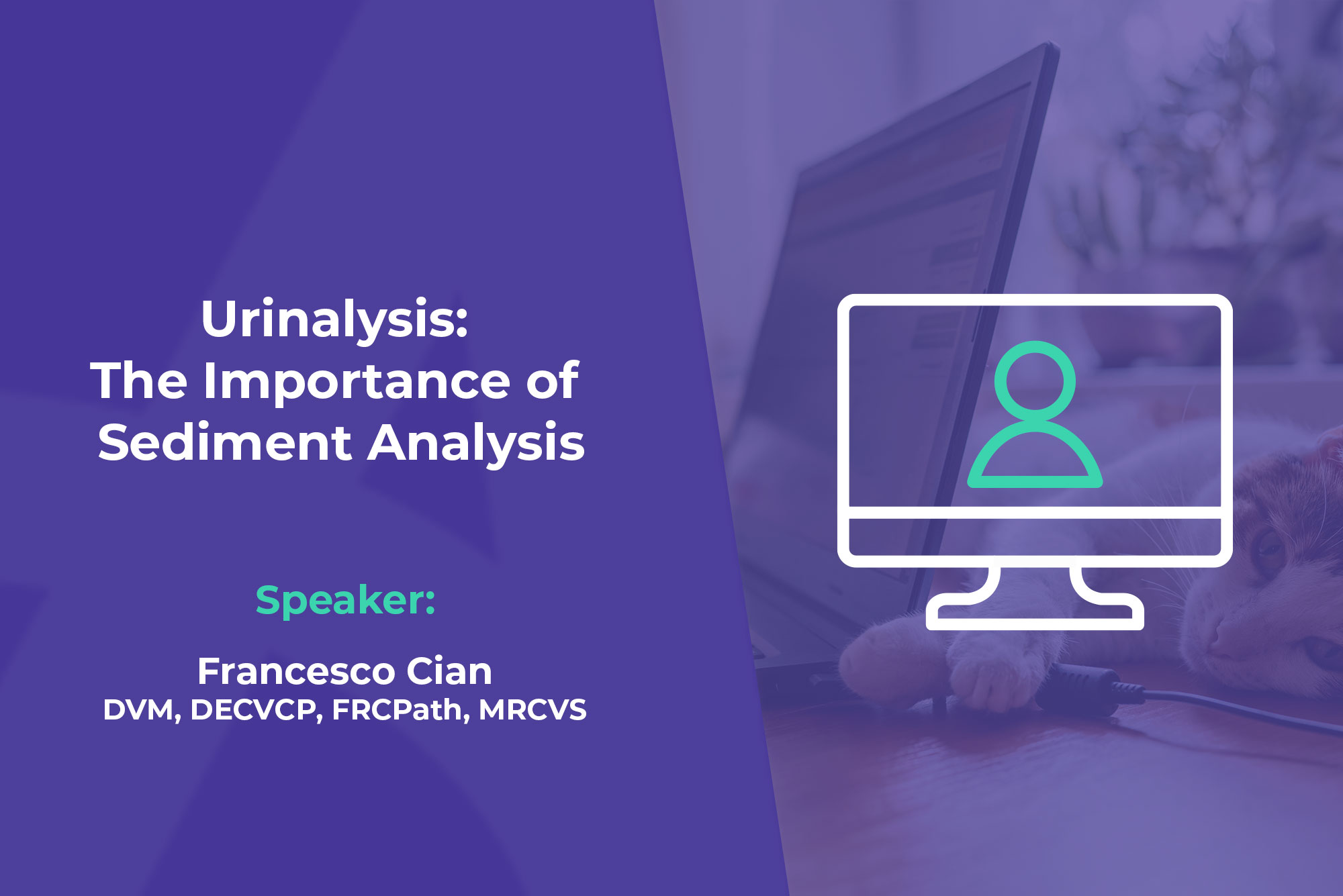 Urinalysis: The Importance of Sediment Analysis